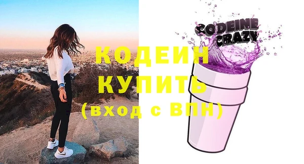 индика Вязьма